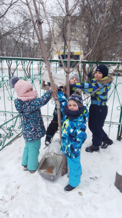 Зимние прогулки