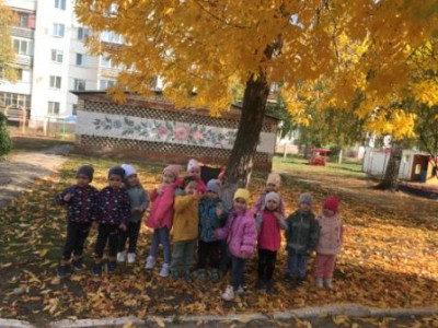 Осенняя прогулка