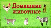 Электронно-дидактическое пособие «КТО СПРЯТАЛСЯ?»   для детей среднего дошкольного возраста на тему домашние животные