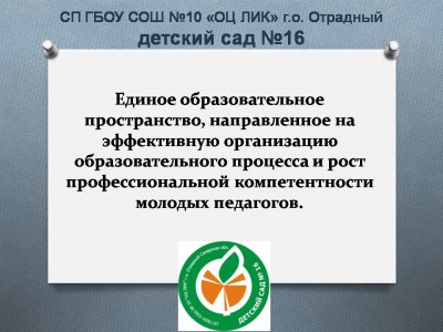 Единое образовательное пространство, направленное на эффективную организацию образовательного процесса и рост профессиональной компетентности молодых педагогов