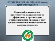 Единое образовательное пространство, направленное на эффективную организацию образовательного процесса и рост профессиональной компетентности молодых педагогов