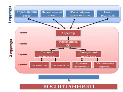 Структура и органы управления образовательной организацией