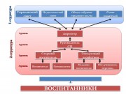 Структура и органы управления образовательной организацией