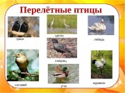 Электронный образовательный маршрут для организации совместной деятельности родителей и детей младшего возраста на тему «Перелетные птицы»